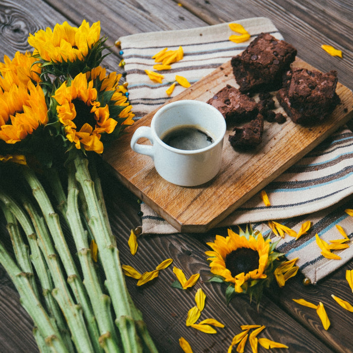 Coffee Flavored Summer Dessert Recipes
