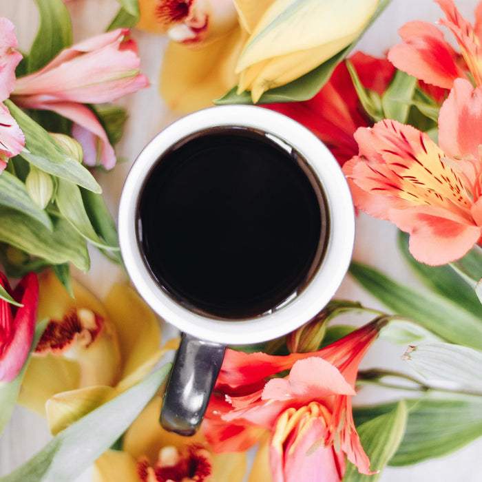 Colorful Slow Sipper Iced Coffee Recipes